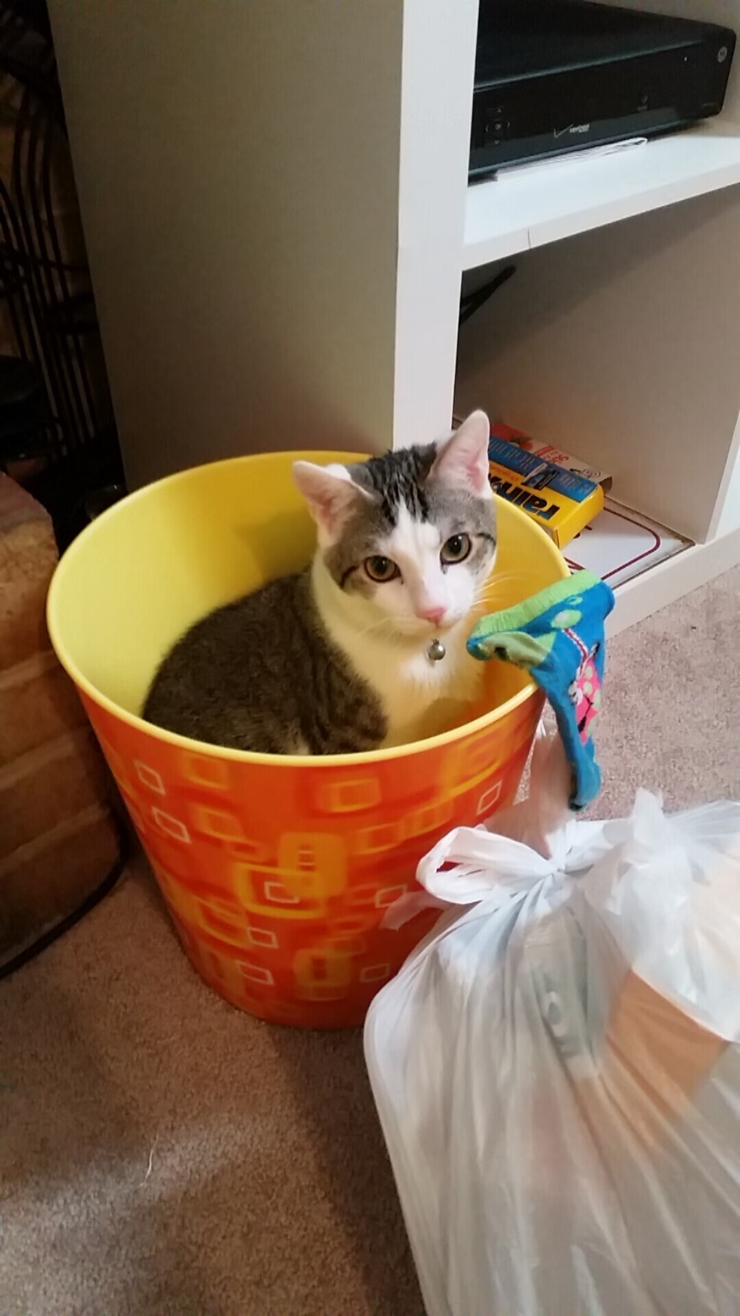 “德甲最新积分榜:势头正劲的强队迎来挑战”,德甲目前最新积分榜