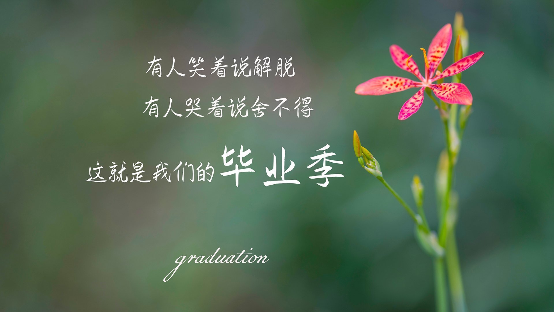 KAIYUN 中国大陆-“青少年足球技能大赛掀起新高潮，创新赛事形式”，青少年足球锦标赛