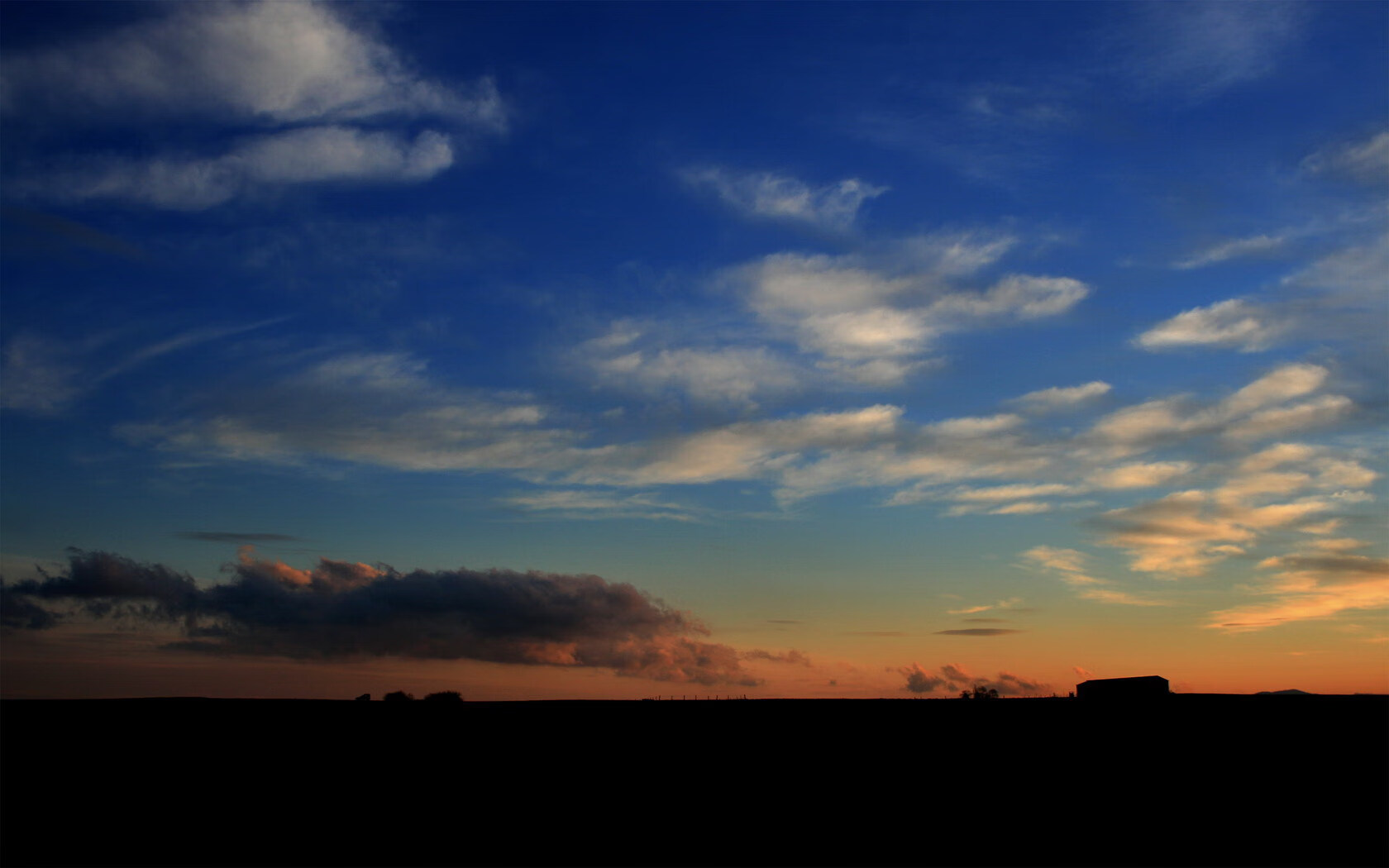 【冠军之路】马克·塞尔比:从逆境中崛起的坚韧精神,马克塞尔比的人生经历