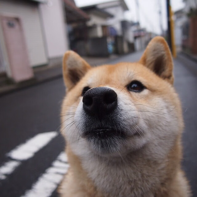 令人心碎的“败者之夜”:那些遗憾的比赛瞬间,败者组决赛是什么意思