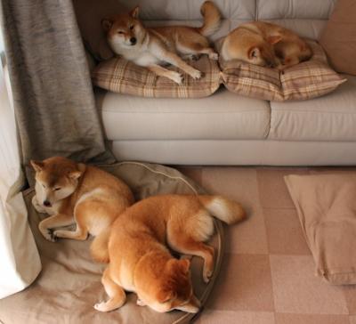 女子足球联赛冠军争夺激烈,赛季进入决胜阶段,2021女子足球联赛