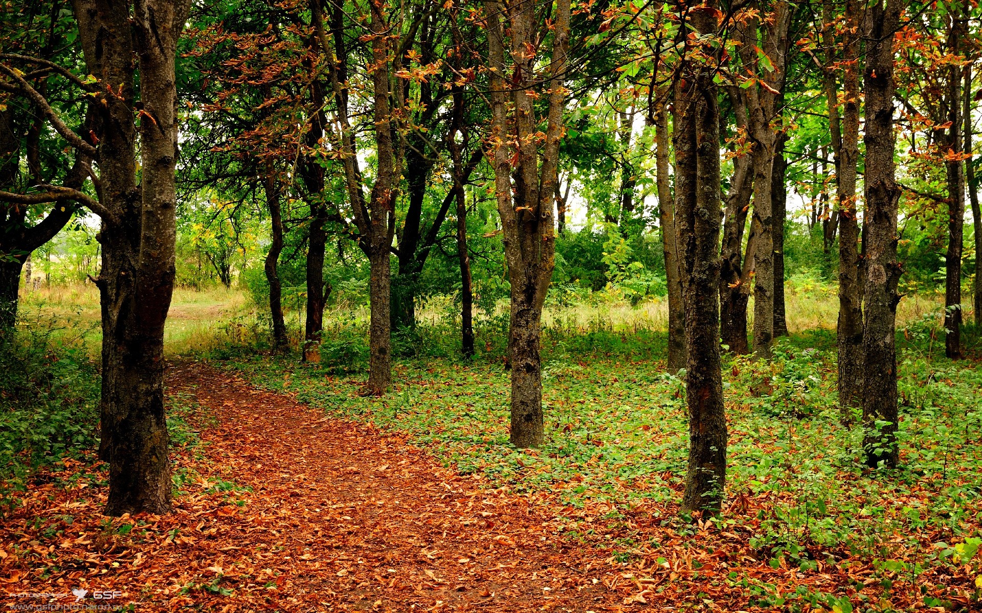 快船与知名插画家合作,推出“城市球员”艺术系列,快船球员合照