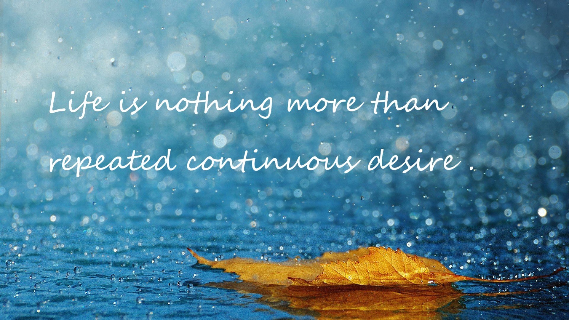 欧冠“奇迹夜”:那些令人惊叹的逆转瞬间,欧冠决赛逆转奇迹