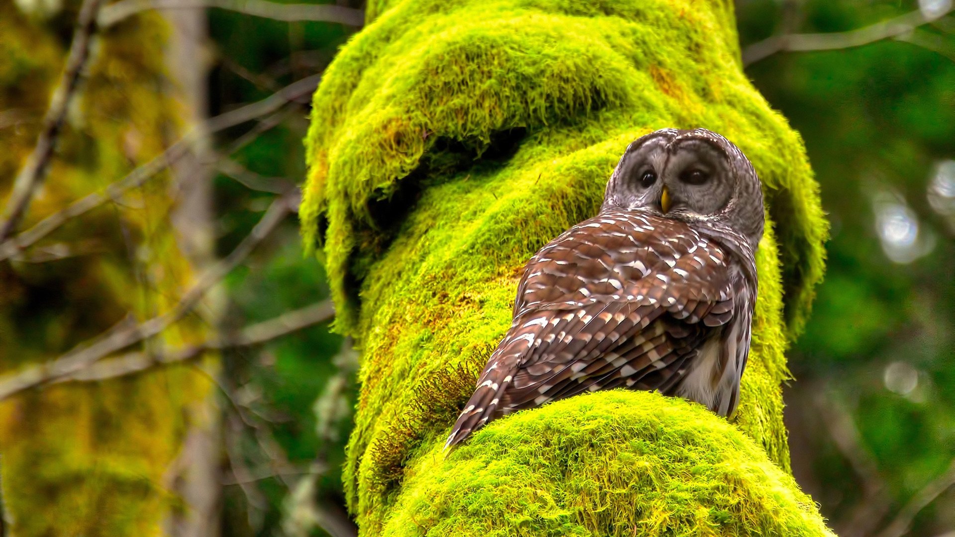 观众席上的热情互动掀起高潮,观众热烈