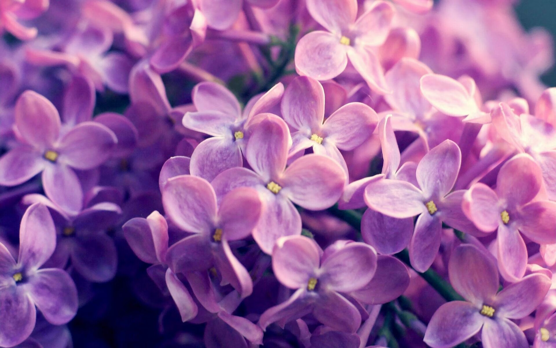 开云网站-转会截止：五大联赛最震撼的10笔交易一览，五大联赛转会市场什么时候截止