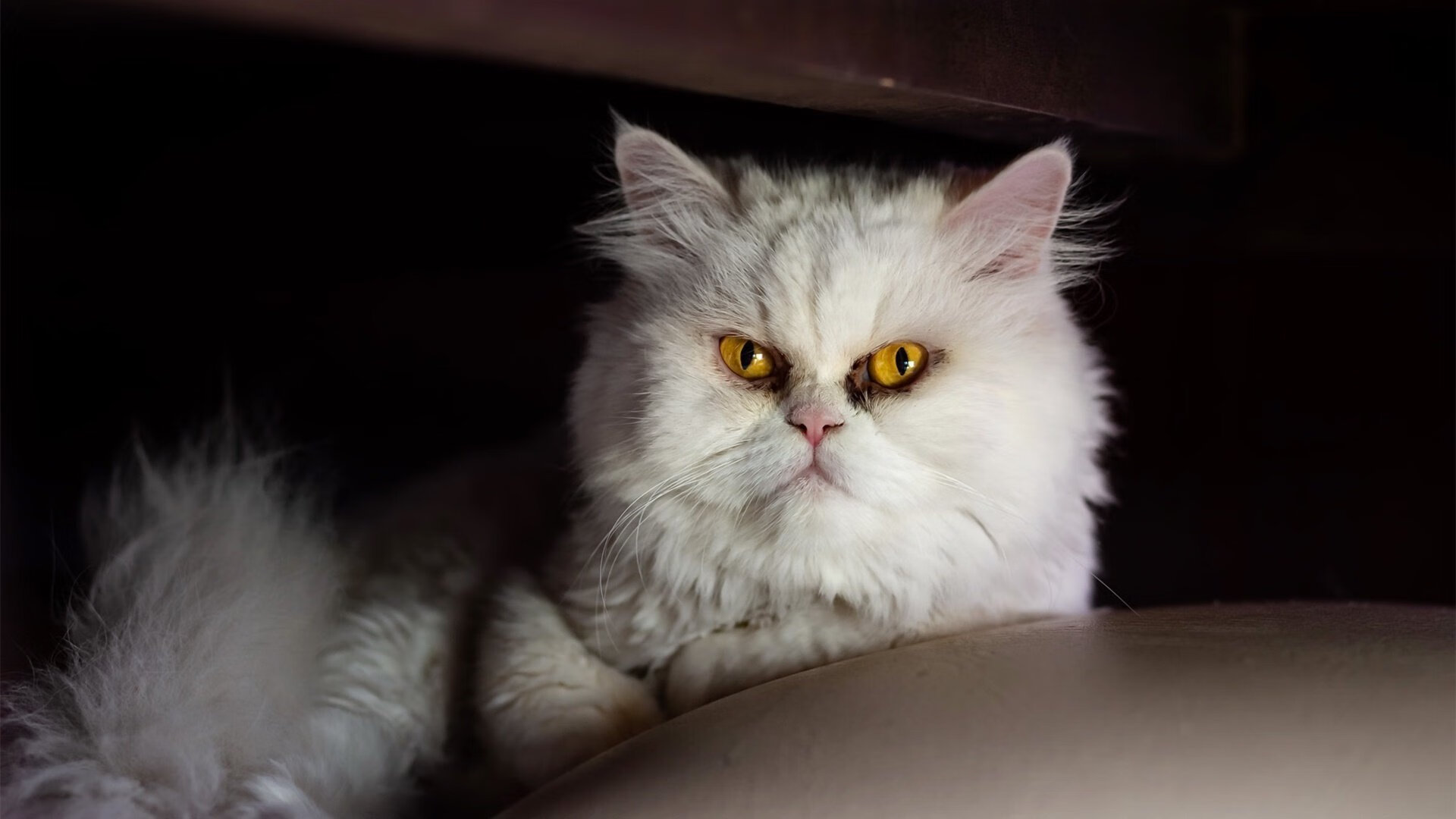 克罗地亚战平北爱尔兰,小组出线悬念,克罗地亚战场